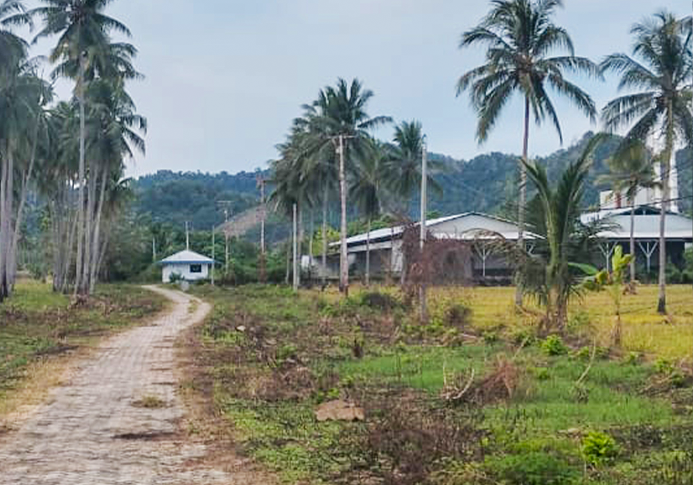 PABRIK DI KAB. POHUWATO - WOFF793-4 - foto 5